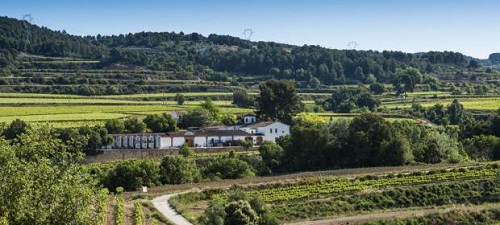 noya-winery