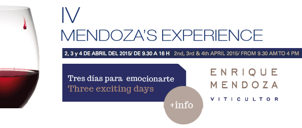 2015-Mendoza-wine-experience